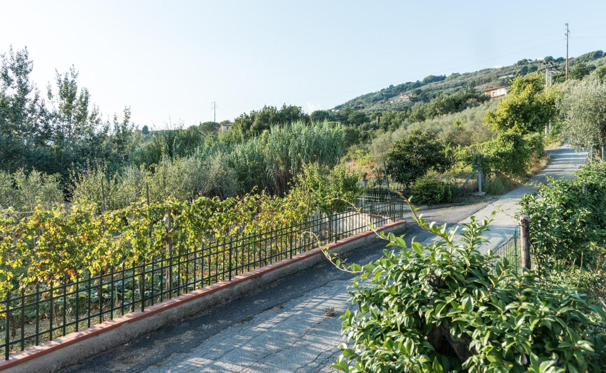 Fuga In Toscana Borgo a Buggiano Zewnętrze zdjęcie