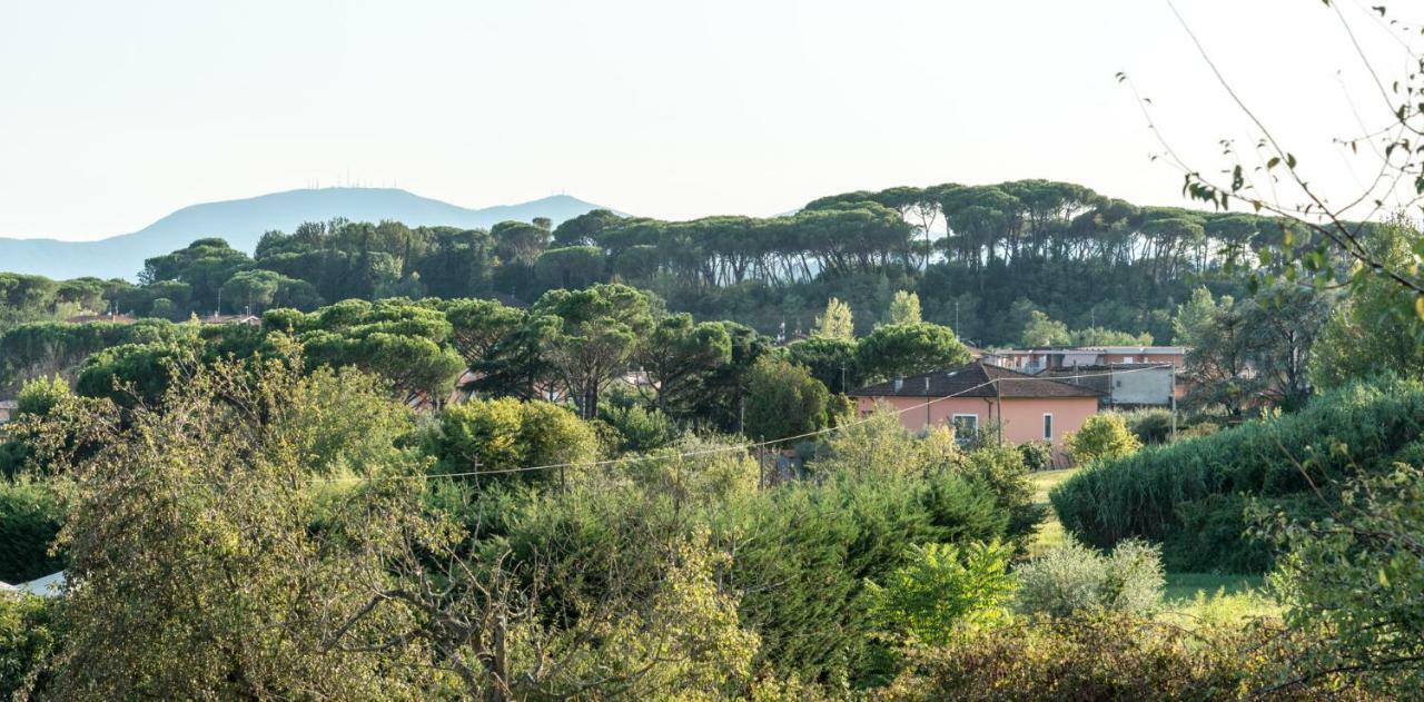 Fuga In Toscana Borgo a Buggiano Zewnętrze zdjęcie
